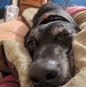 Meet your Posher, Aaron